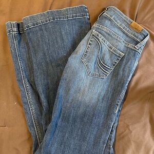 Size 26R Ariat Trousers